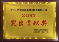 突出貢獻(xiàn)獎(jiǎng)