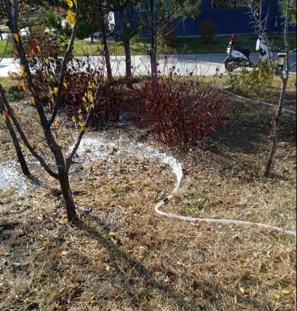 1637206235817862.jpg 1637206235817862.jpg