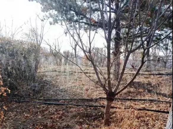 1637206424529979.jpg 3.jpg