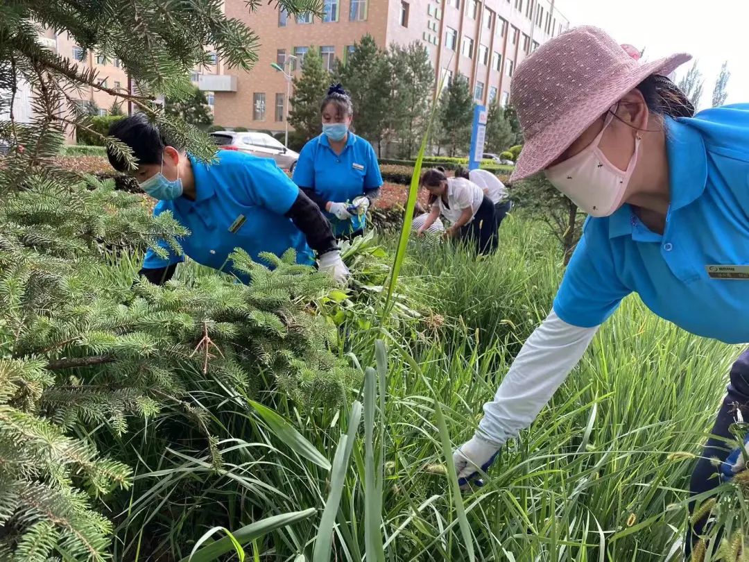 1693535504826812.jpg 1693535504826812.jpg