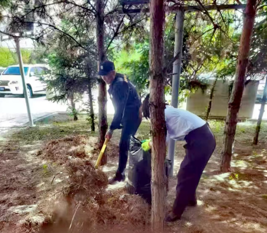 1764204724365511.png image.png