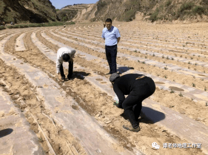 塑料薄膜在农业种植中的作用