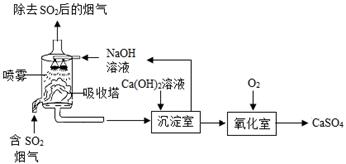 可循环利用塑料的分解与再制造，环保之路的探索与实践
