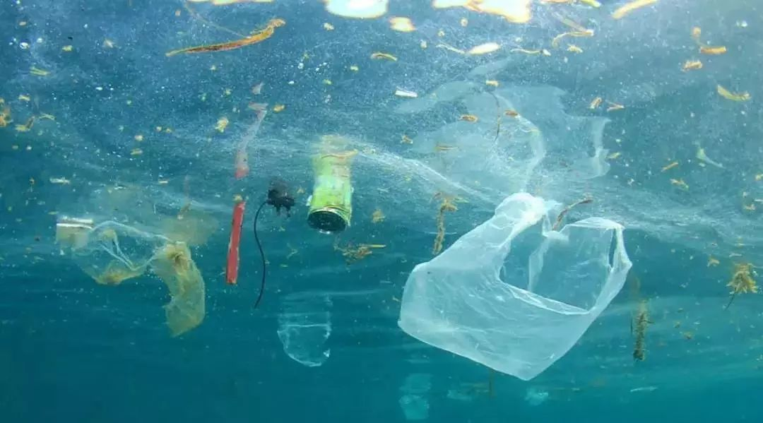 防水橡胶材料在海洋工程中的应用