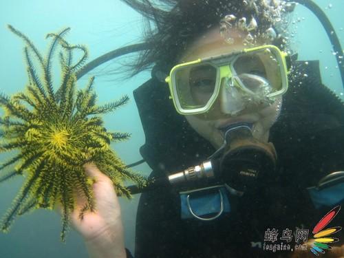防水橡胶材料在海洋工程中的应用