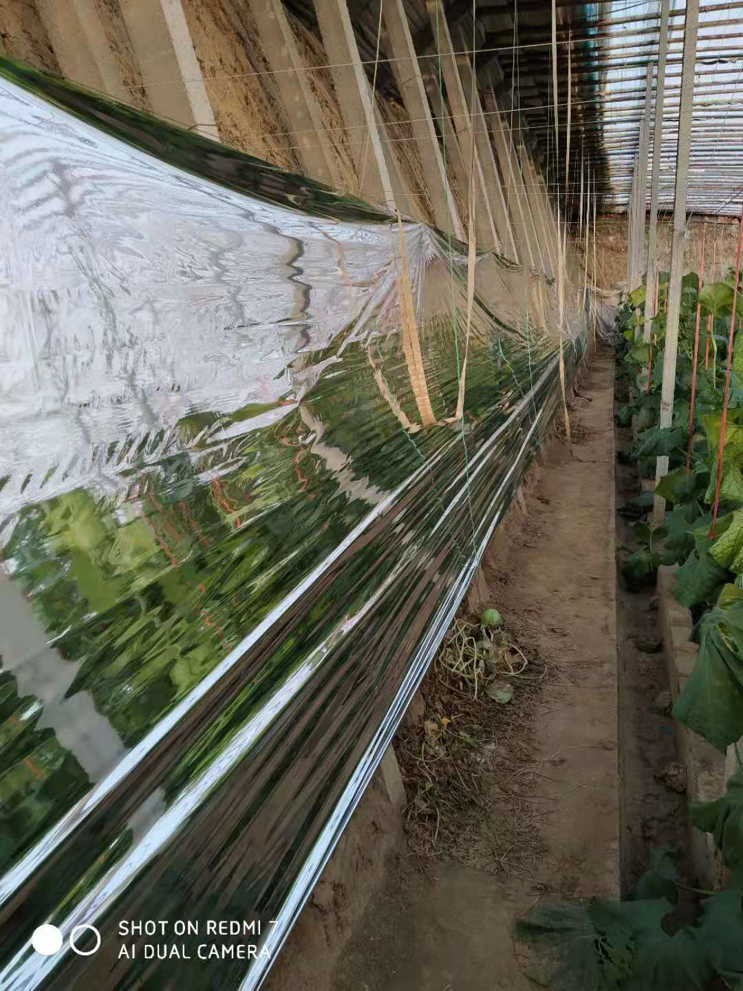 农业塑料大棚膜透光率研究