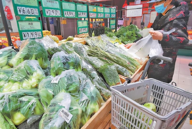 北京塑料制品，现状、挑战与未来展望