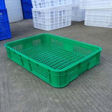 南宁塑料制品厂的崛起与发展