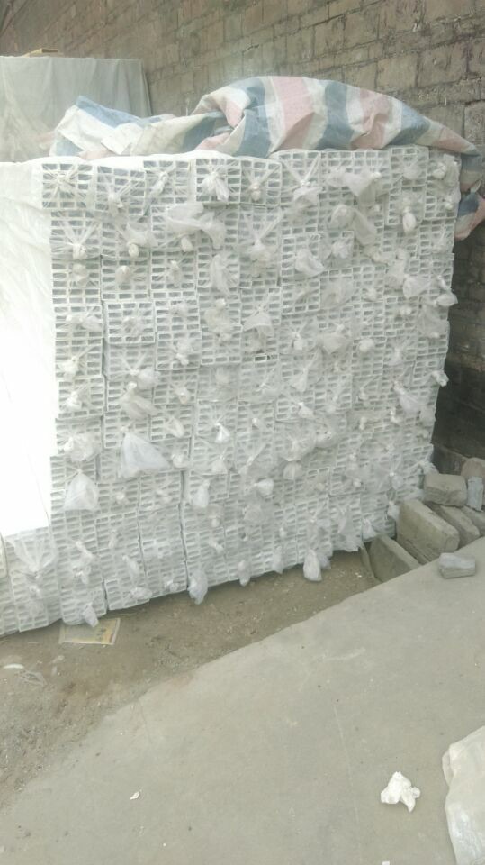 雄县塑料制品产业崛起及未来展望