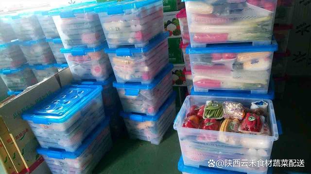 西安塑料制品批发市场，繁荣商业脉络与市场深度洞察