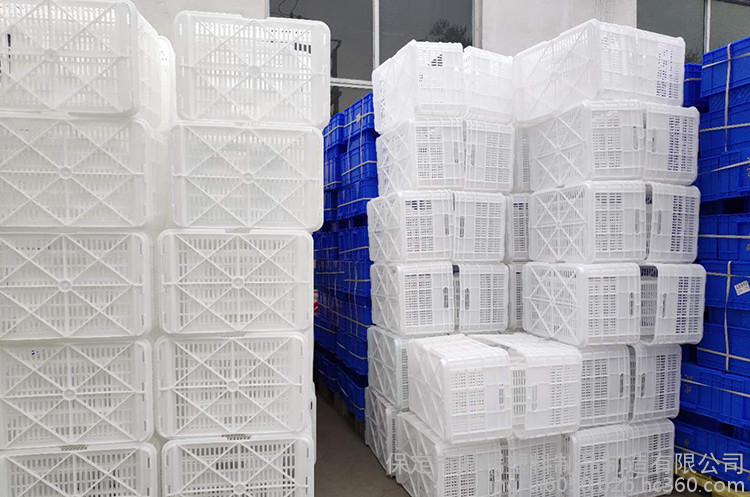 周口塑料制品产业现状与发展前景展望