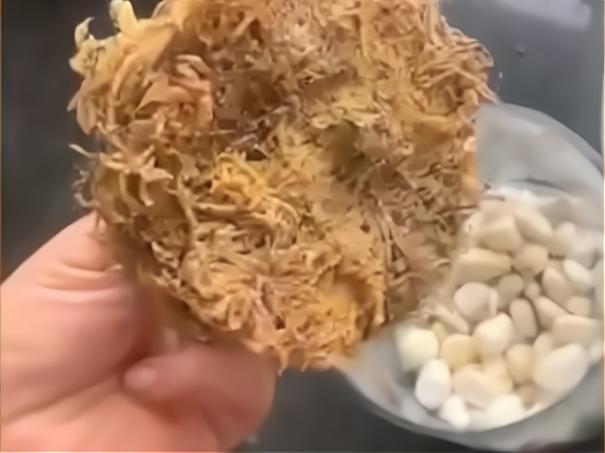 湖南塑料制品厂的繁荣崛起之路