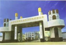 河北霸州塑料制品厂的崛起及未来展望