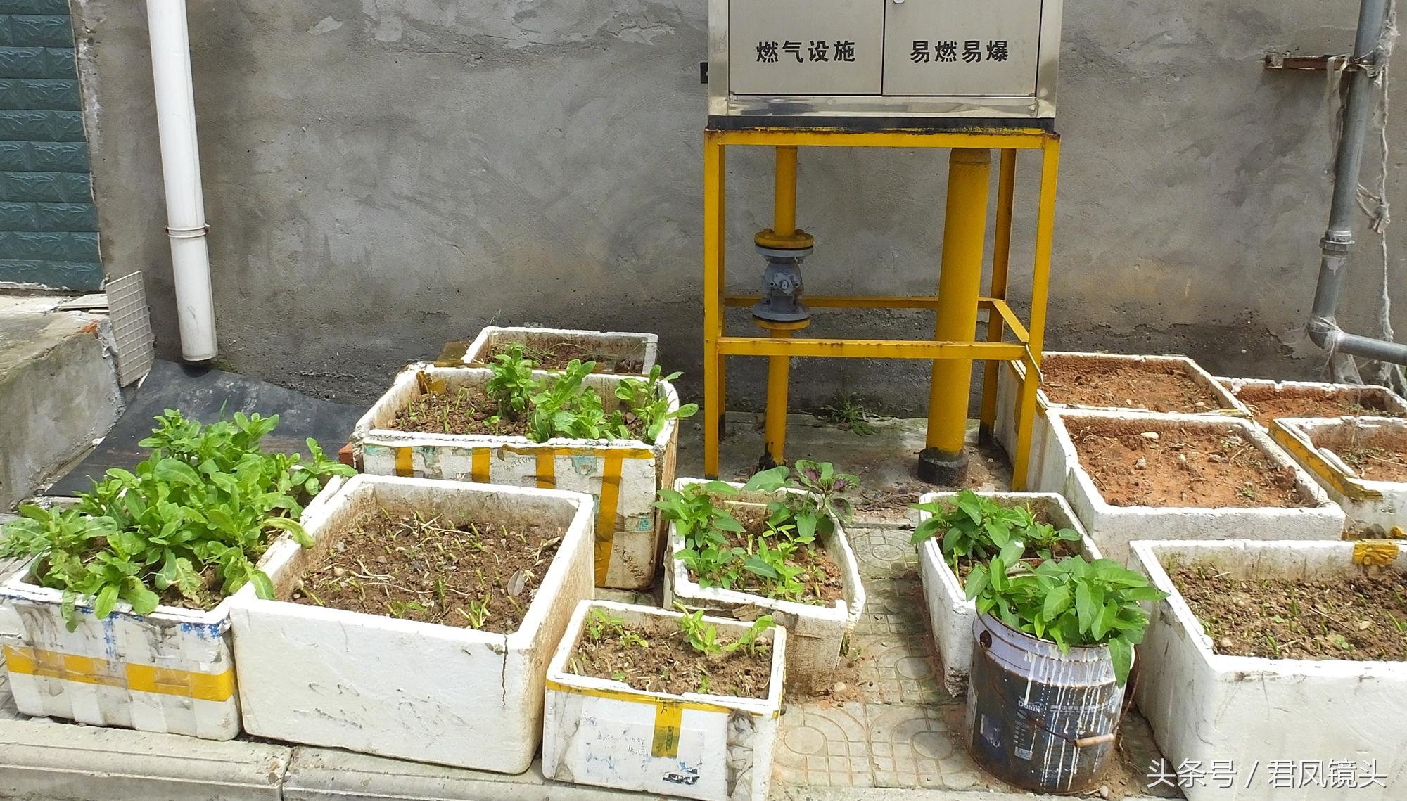 塑料制品工厂有毒吗？探究真相与应对之策