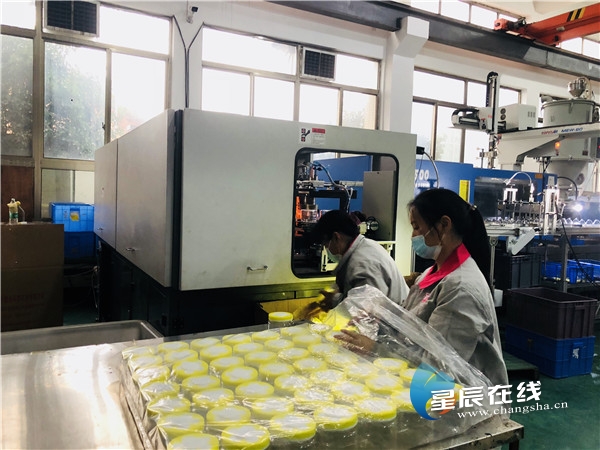 浏阳宝升塑料制品厂，卓越品质，创新领先的塑料制造先锋