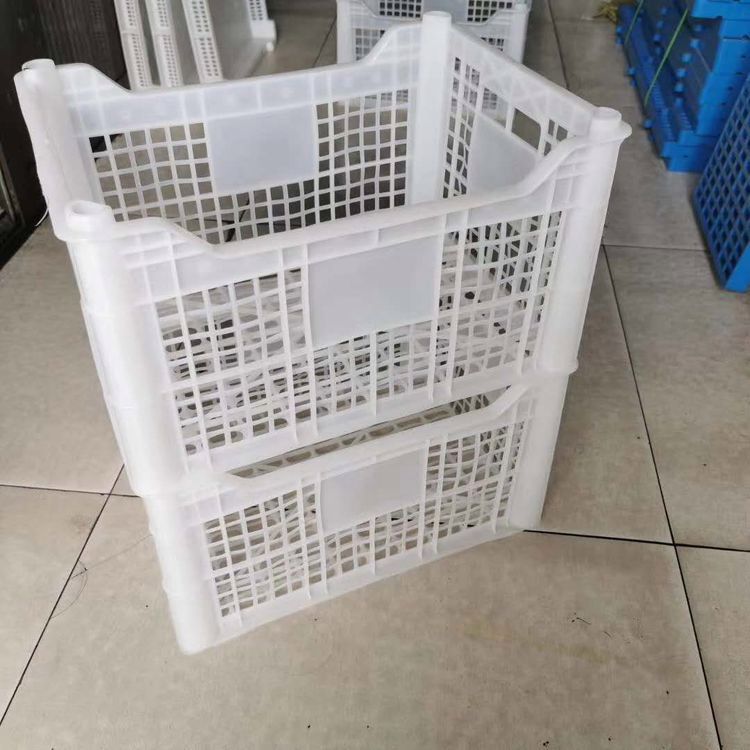 养殖塑料制品，应用、挑战与未来展望