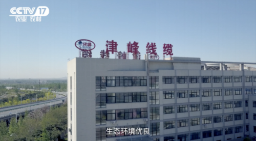 大连合亿塑料制品有限公司，塑造未来的力量