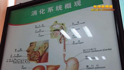 清除塑料制品，重塑绿色生态之路