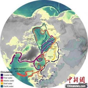 塑料制品，现代生活必需品与其对环境的影响研究