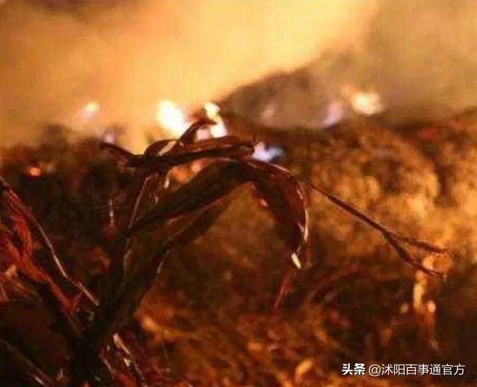 沂河塑料制品，产业新动力的繁荣与发展之路