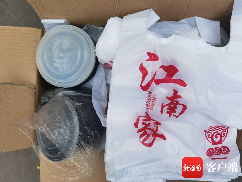 海南的塑料制品，现状、挑战与未来展望