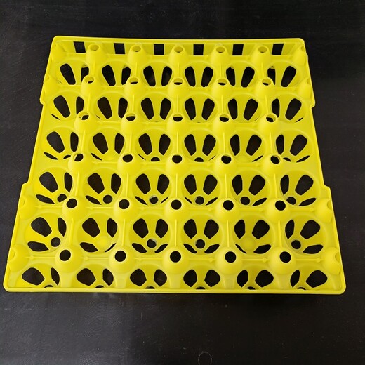 蛋盘塑料制品，现代生活的实用多变必需品