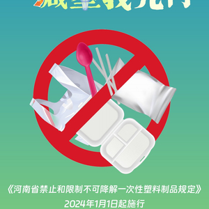 对塑料制品的禁止和限制，全球环保行动的挑战与机遇