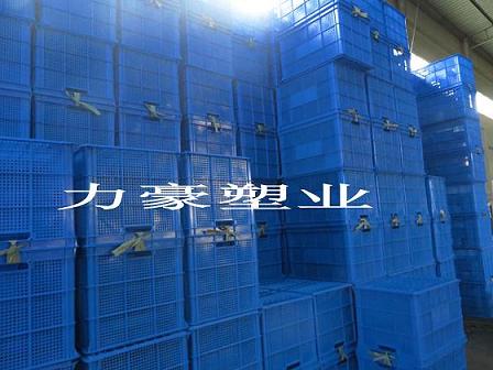 义乌市嘉迪塑料制品厂的成长之路与未来展望