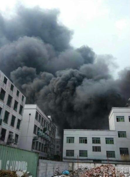 义乌市嘉迪塑料制品厂的成长之路与未来展望