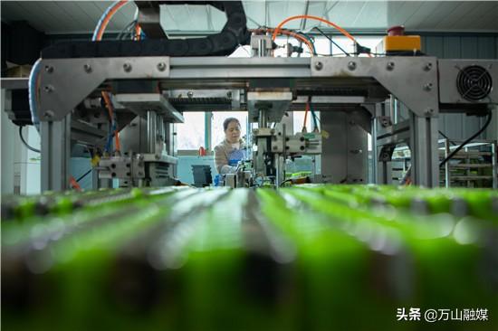 塑料制品行业招聘现状与发展趋势深度解析