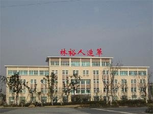 张家港塑料制品公司的崛起与发展