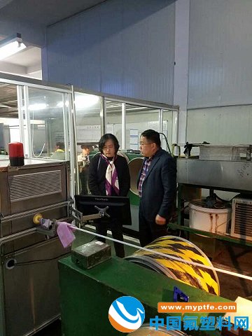 江阴市塑料制品厂的崛起与未来展望