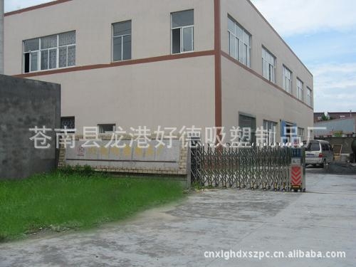苍南县塑料制品厂的崛起及未来展望