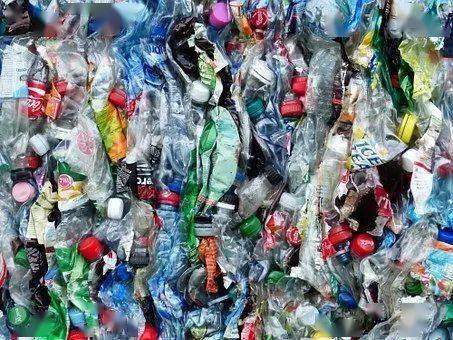 塑料制品与特定人群的关联及其潜在风险